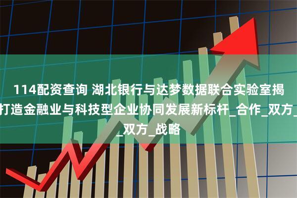 114配资查询 湖北银行与达梦数据联合实验室揭牌，打造金融业与科技型企业协同发展新标杆_合作_双方_战略