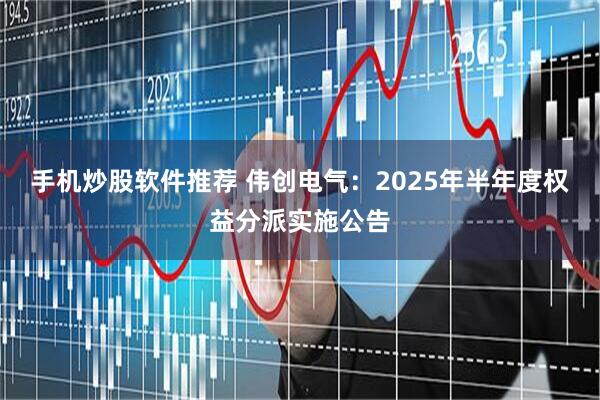 手机炒股软件推荐 伟创电气：2025年半年度权益分派实施公告